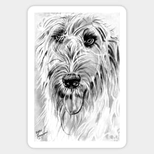 Irish wolfhound (Portrait) Sticker